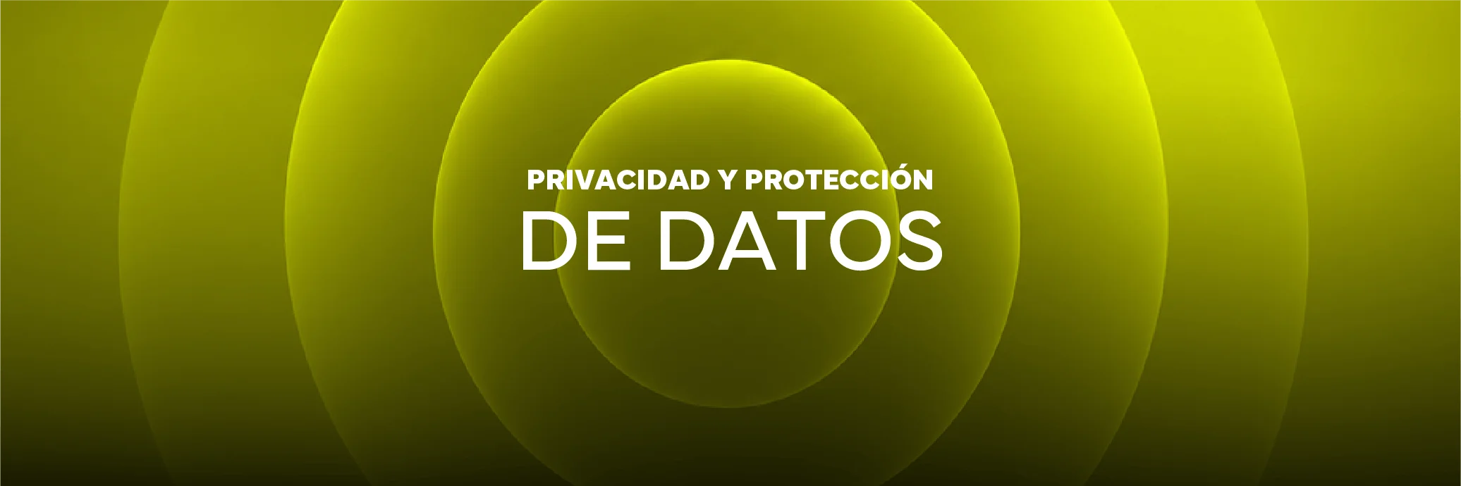 Privacidad y Protección de Datos